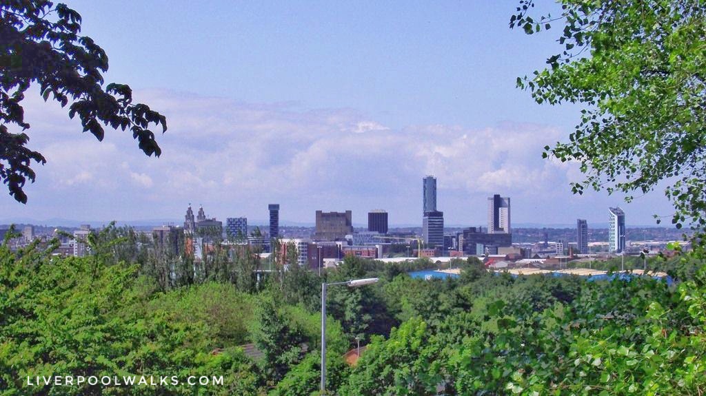 View from Everton park