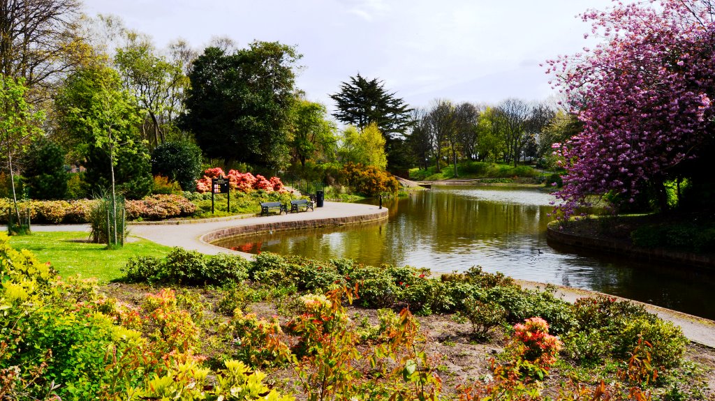 stanley park lake